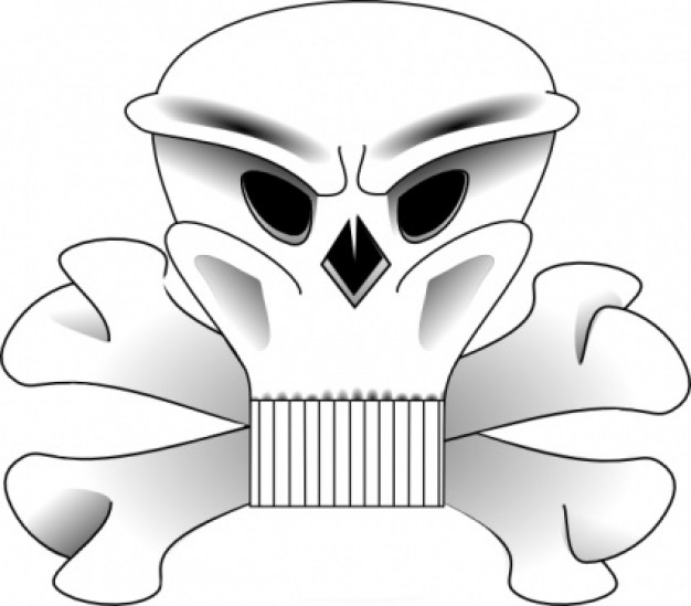 Skull Bones skull Yale University jawless on crossbones with background about Student Organization